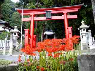 姫路では珍しい朱塗りの鳥居がある祝田（はふりた）神社